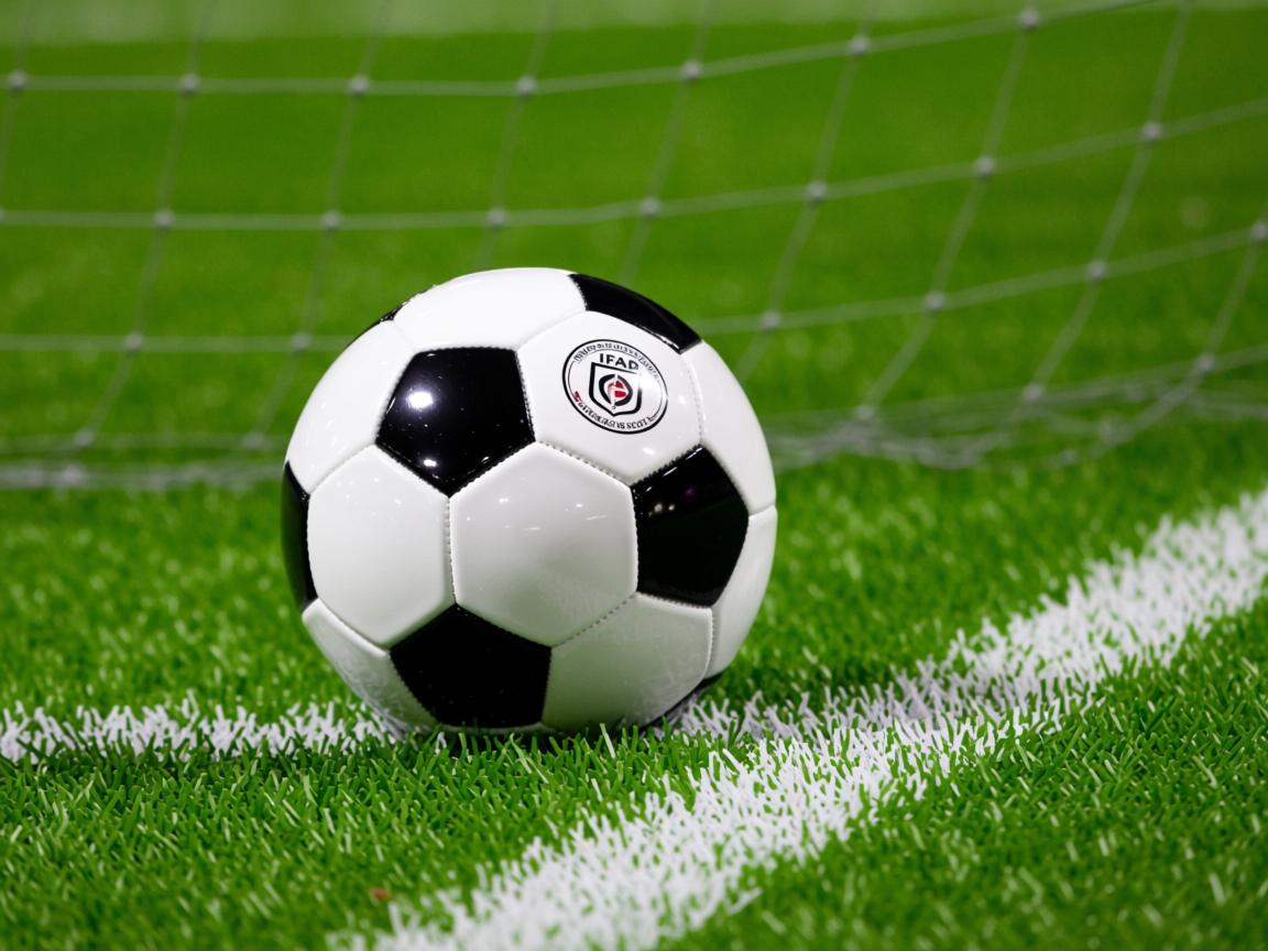 九游娱乐登录-中国女篮团队攻防形成体系 全面提升整体实力,中国女篮阵容分析 第2张